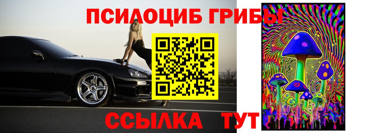 Псилоцибиновые грибы мицелий  Вход с VPN  Галлюциногенные грибы Psilocybe  Бор 