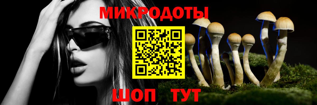 Псилоцибиновые грибы ЛСД Бор